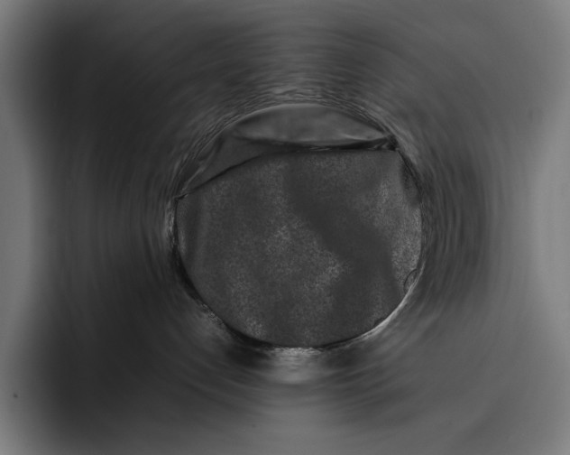 X0000092270192200710121347