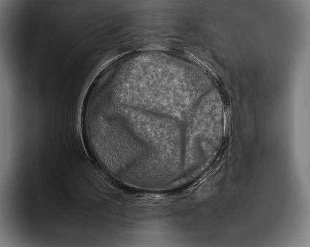 X0000092270195200710121346