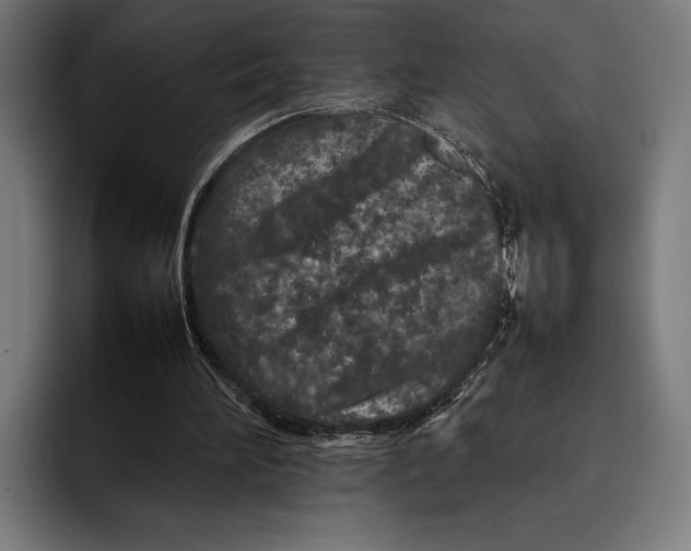 X0000092270196200710121346