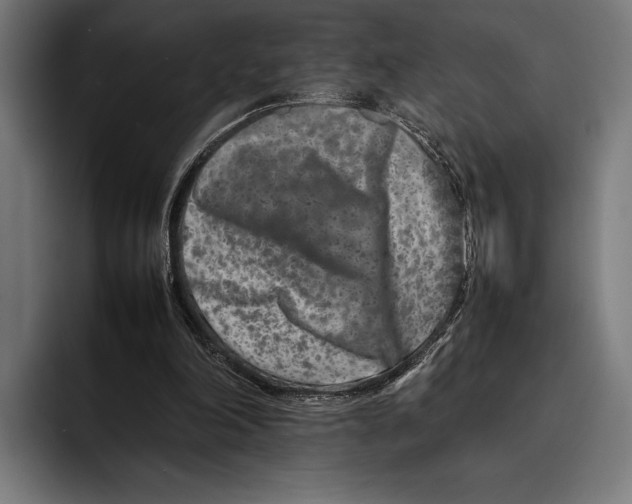 X0000092270198200710121346
