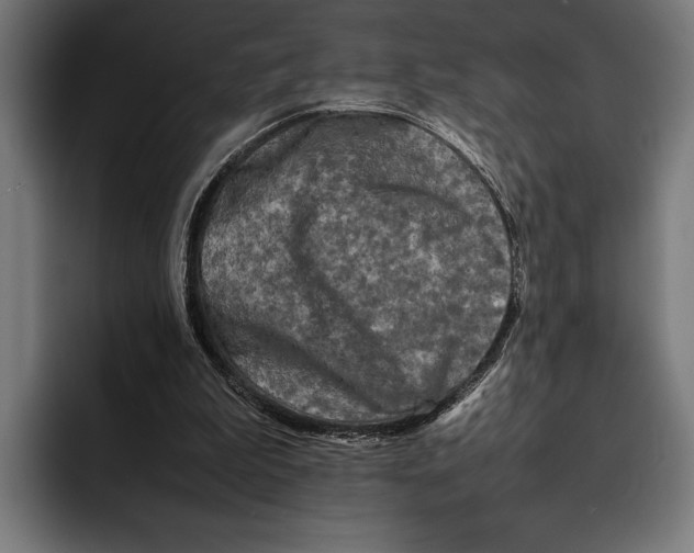 X0000092270199200710121346