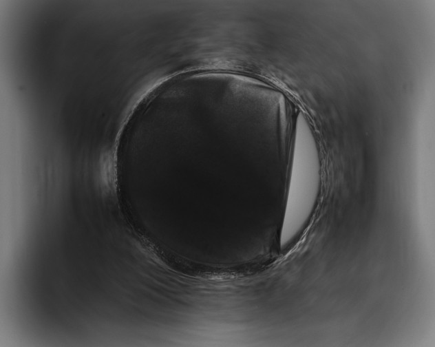 X0000092270200200710121346