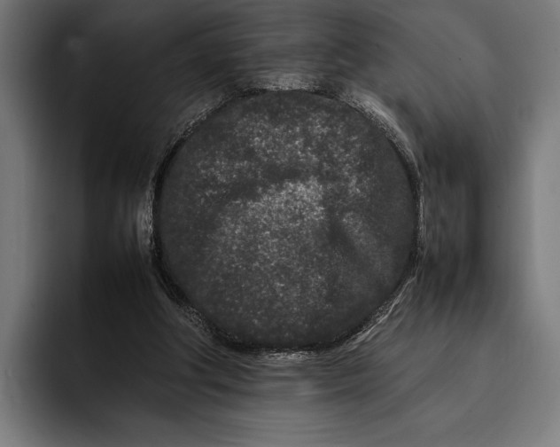 X0000092270202200710121346