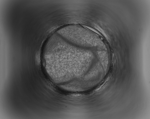 X0000092270203200710121346