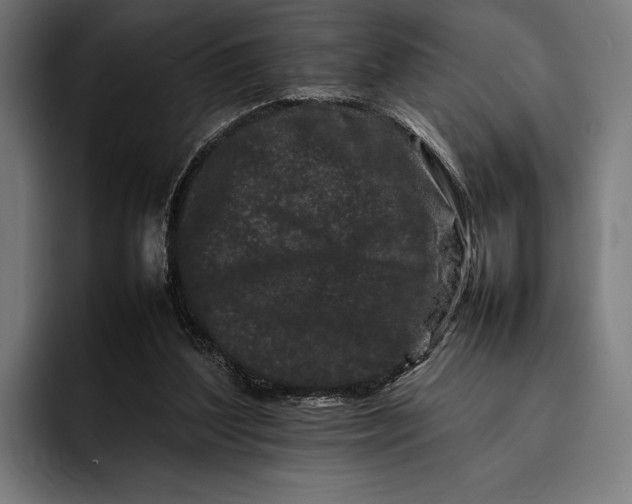 X0000092270204200710121346