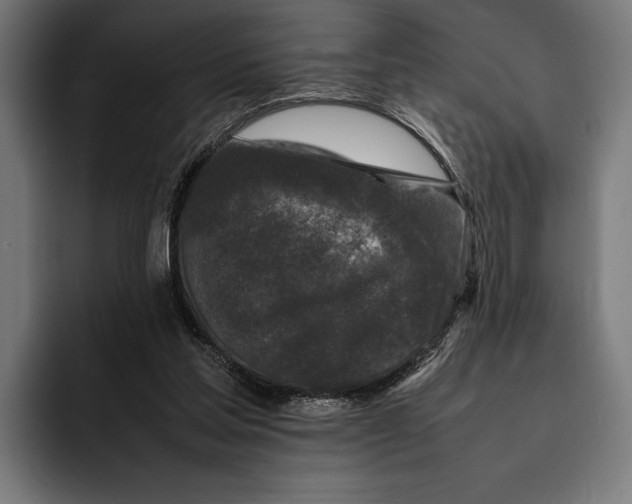 X0000092270205200710121346