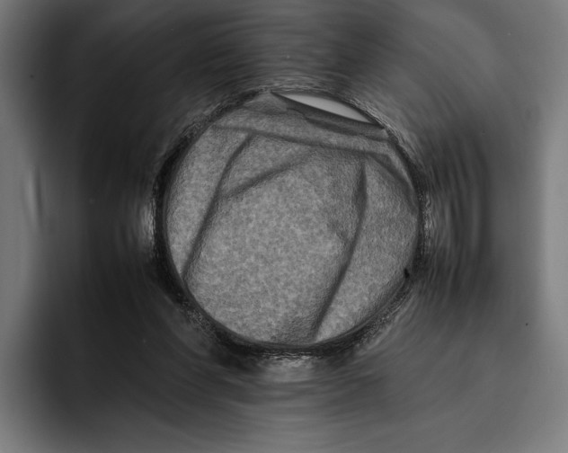 X0000092270206200710121346
