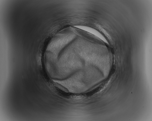 X0000092270209200710121346