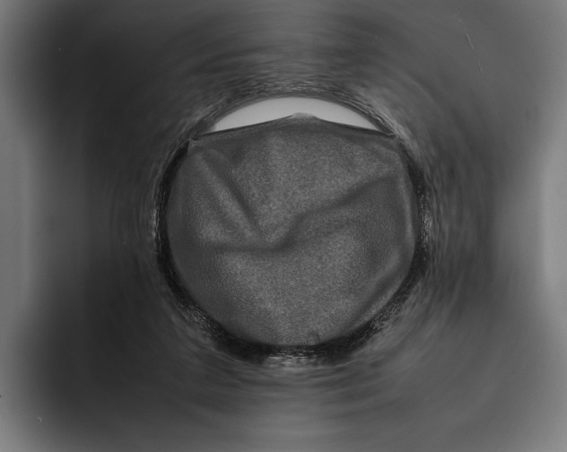 X0000092270211200710121346