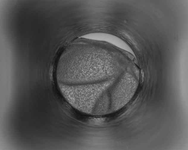 X0000092270217200710121346