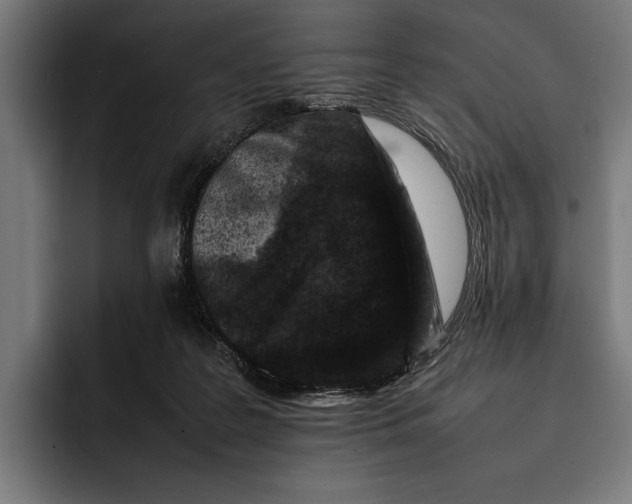 X0000092270219200710121346