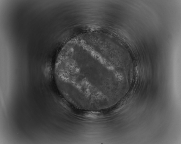 X0000092270222200710121346