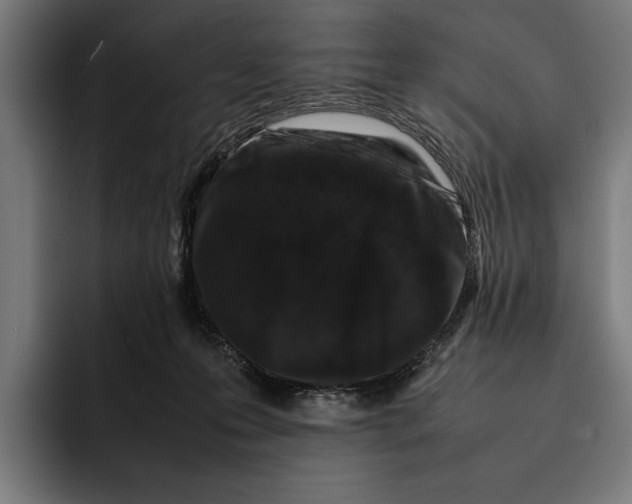 X0000092270223200710121346