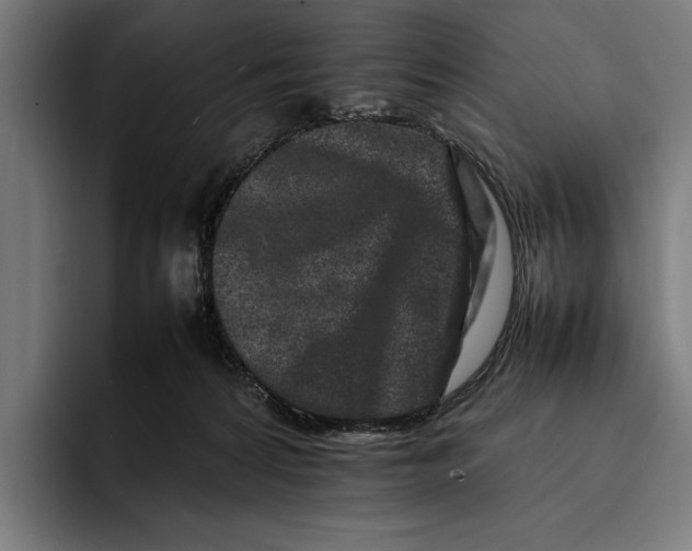 X0000092270224200710121346