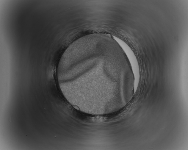 X0000092270225200710121346