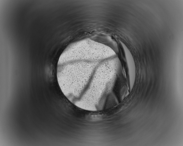 X0000092270228200710121346