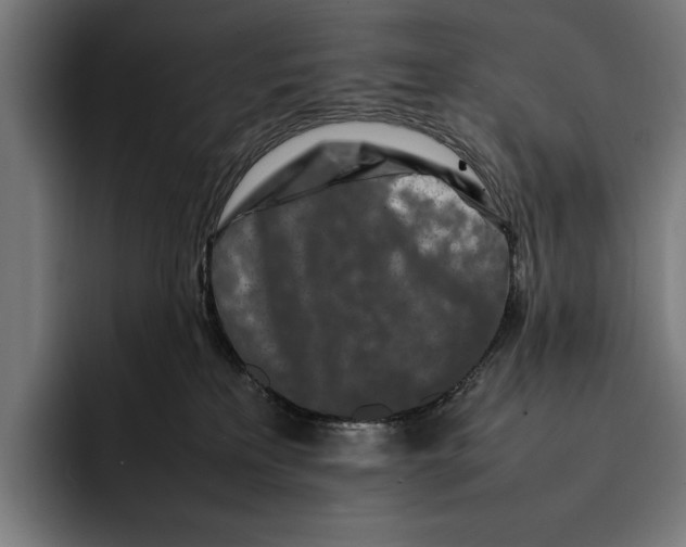 X0000092270233200710121346