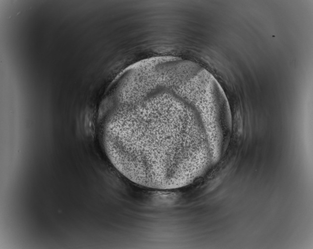 X0000092270234200710121346