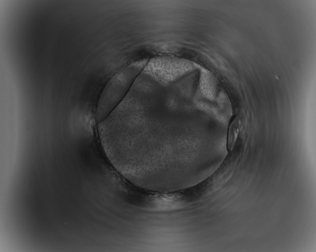 X0000092270235200710121346
