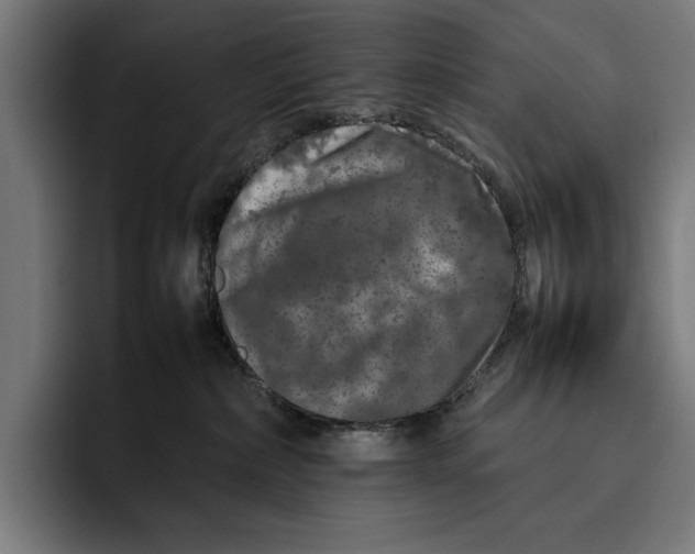 X0000092270236200710121346