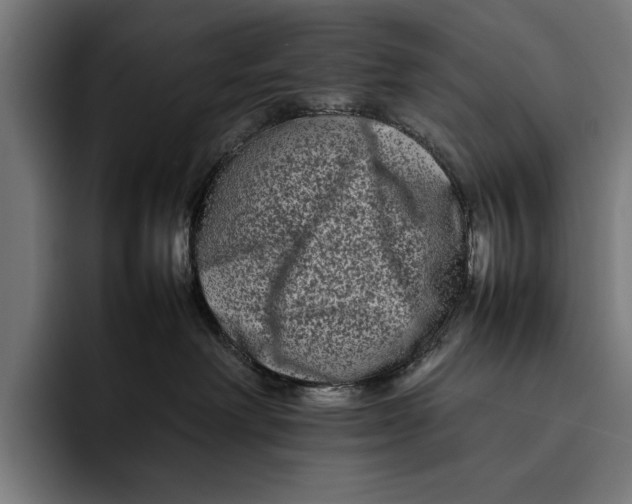 X0000092270238200710121346