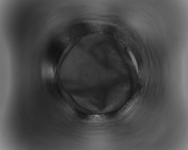 X0000092270239200710121346
