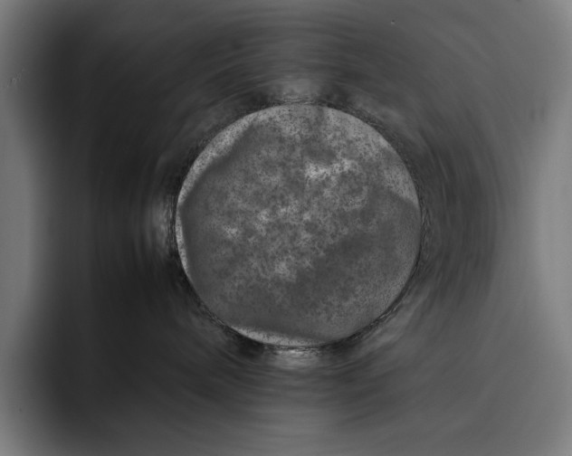 X0000092270240200710121346