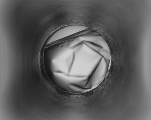 X0000092270242200710121345