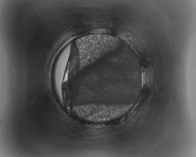 X0000092270243200710121345