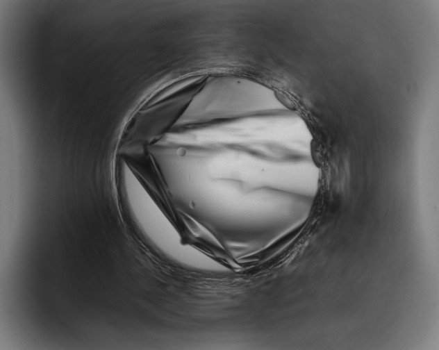 X0000092270244200710121345