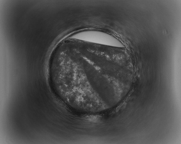 X0000092270247200710121345