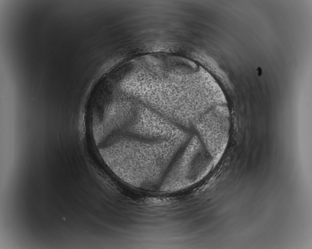 X0000092270250200710121345