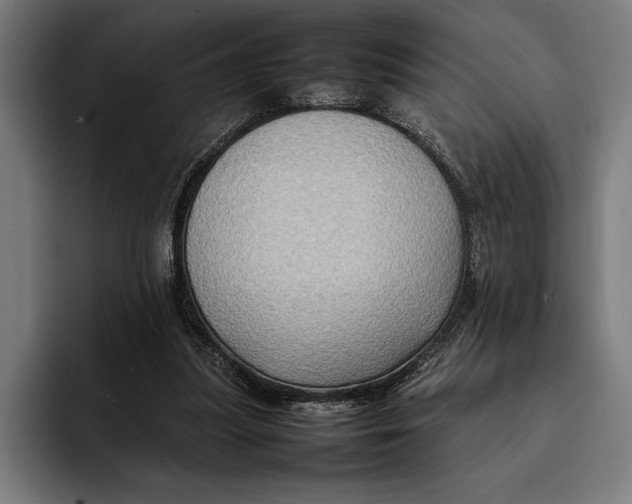 X0000092270251200710121345