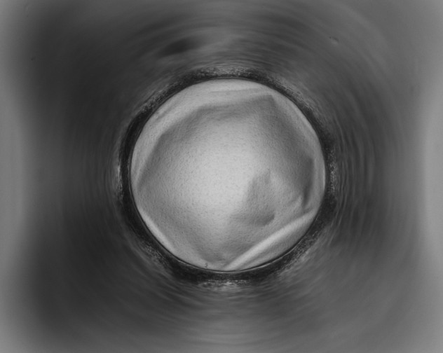 X0000092270254200710121345