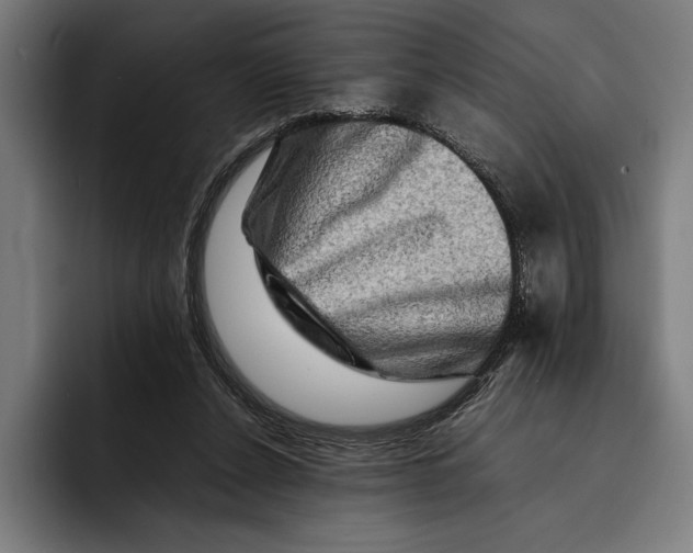 X0000092270256200710121345