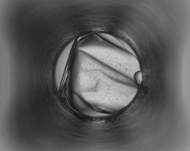 X0000092270257200710121345