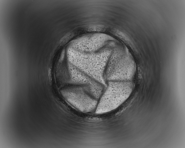 X0000092270258200710121345