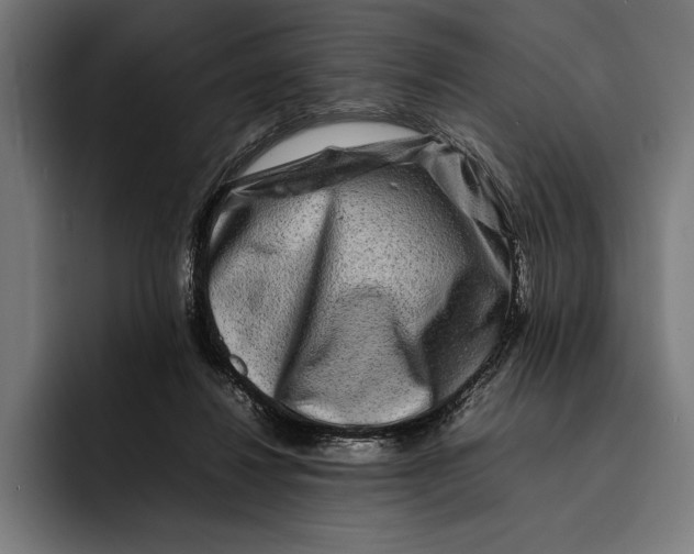 X0000092270260200710121345