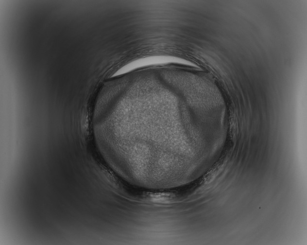 X0000092270268200710121345
