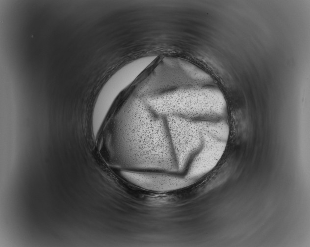 X0000092270269200710121345
