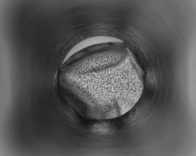X0000092270271200710121345