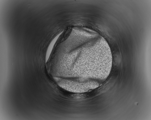 X0000092270273200710121346