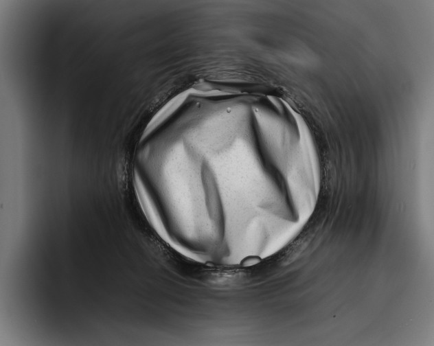 X0000092270274200710121346