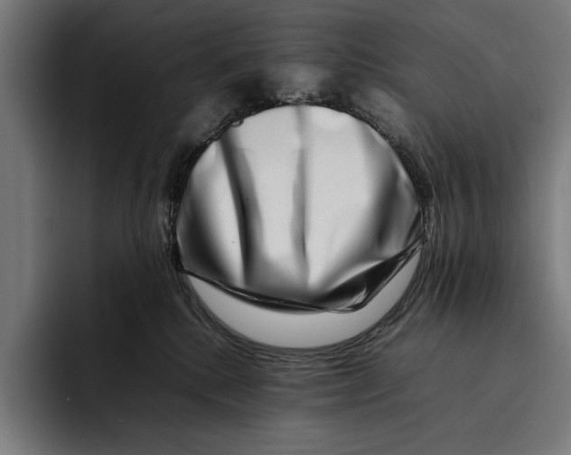 X0000092270280200710121346