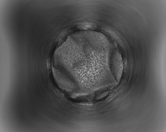 X0000092270284200710121346