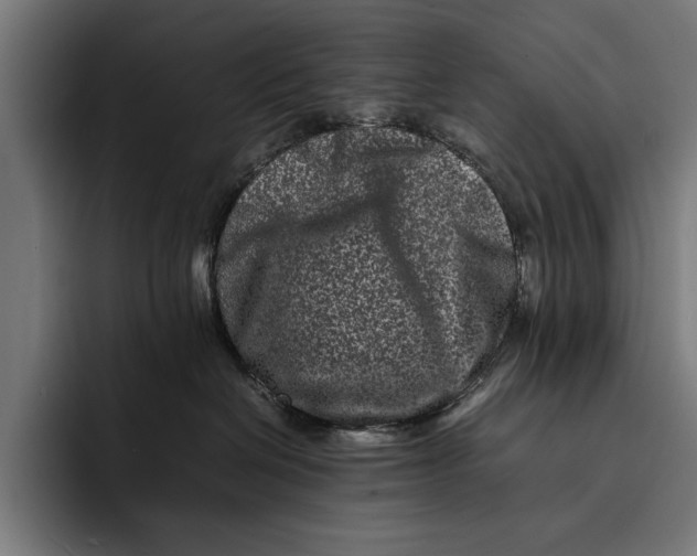 X0000092270286200710121346