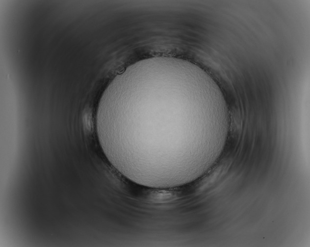 X0000092270287200710121346