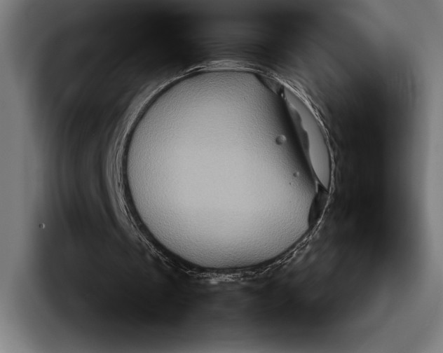 X0000092270289200710121345