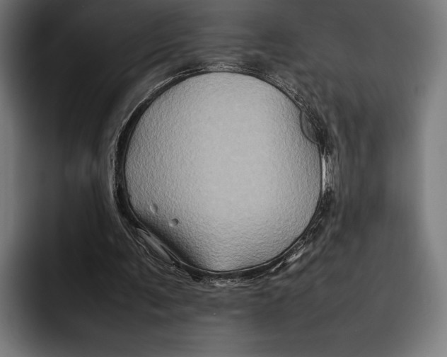 X0000092270291200710121345