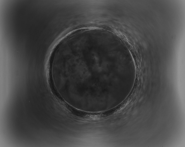 X0000092270295200710121345